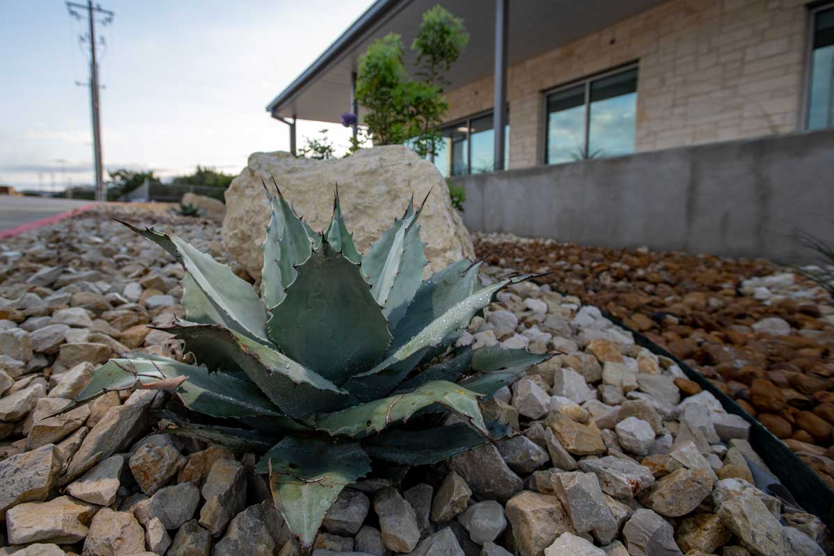 Texas Water Company facilities feature no irrigation landscaping.