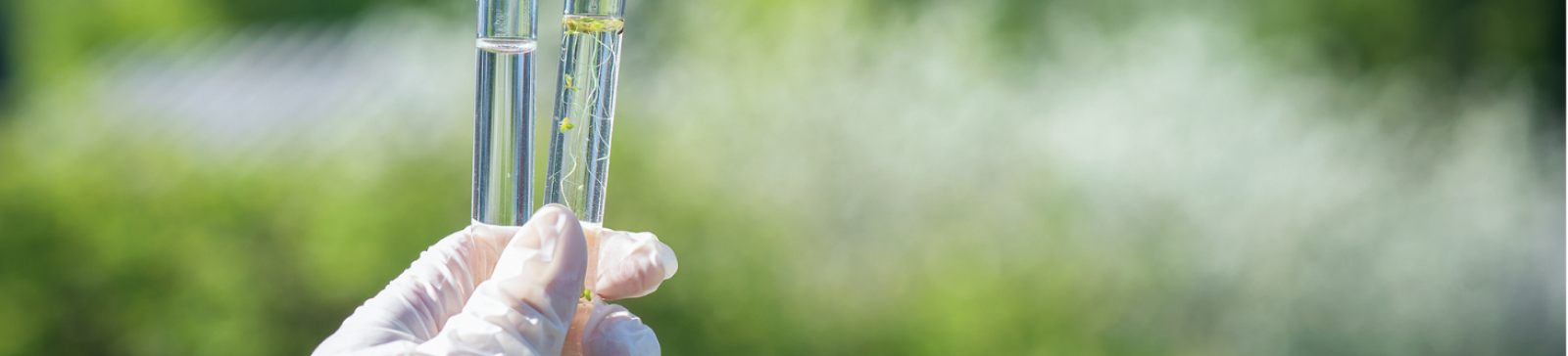 hand holding two test tubes of water