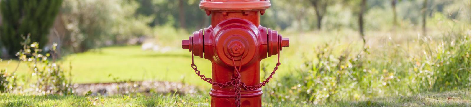 fire hydrant