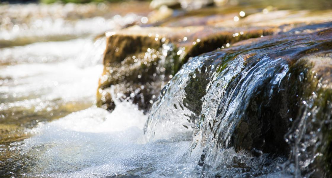flowing water in a creek/river