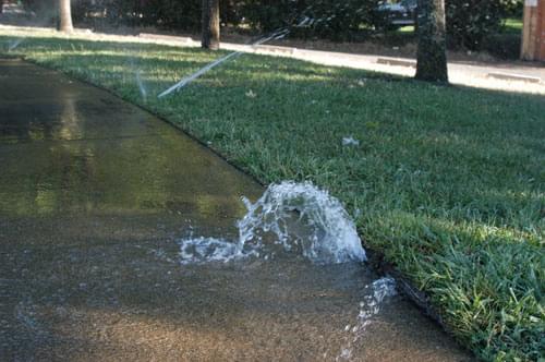 Broken Sprinkler Watering Sidewalk