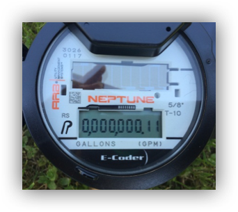 Digital Meter Neptune 