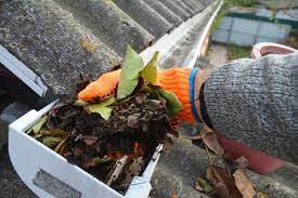 Roofs and Gutters