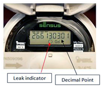 Example of Sensus iPearl Meter